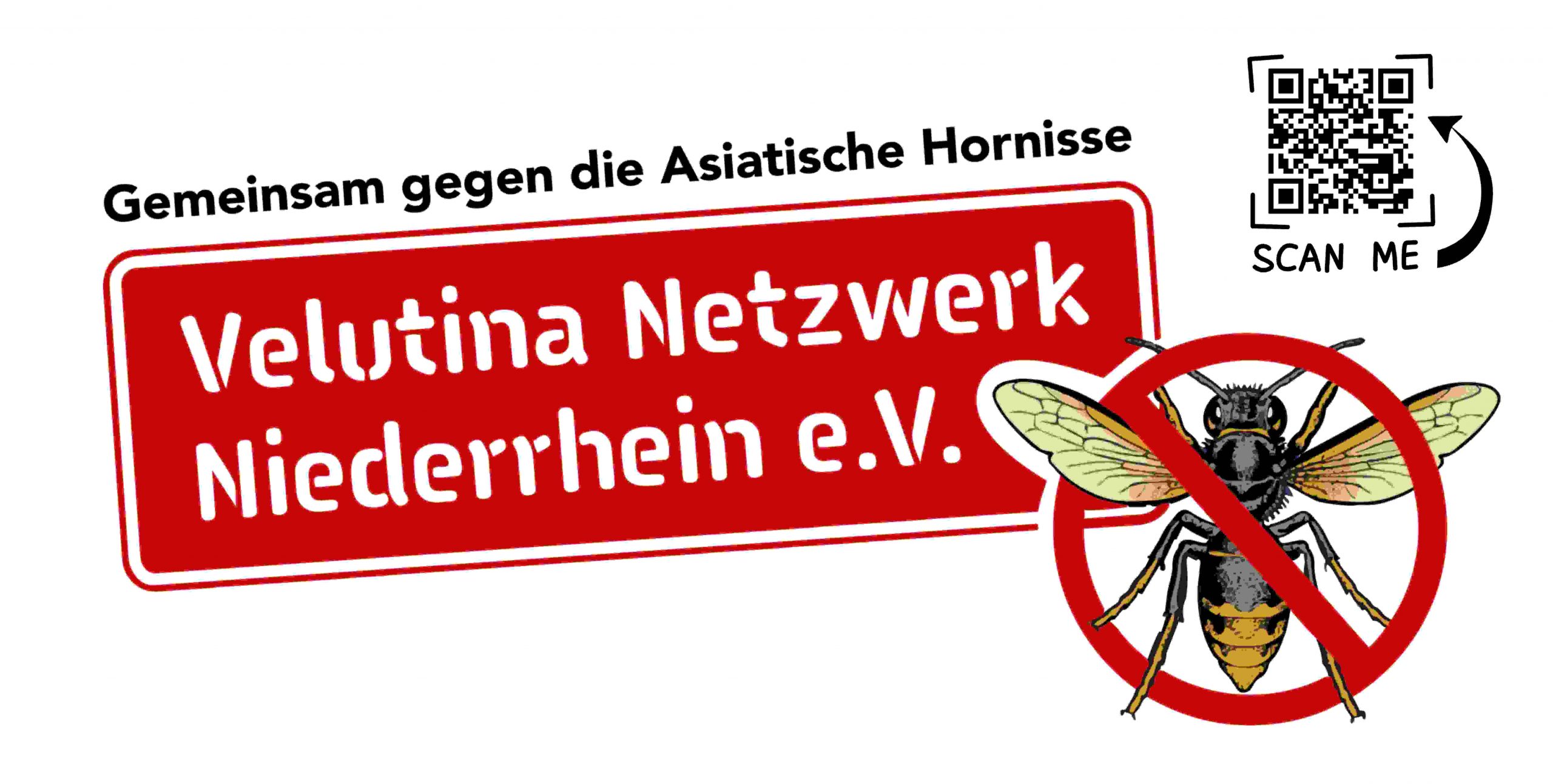 Banner Velutina Netzwerk Niederrhein e.V.