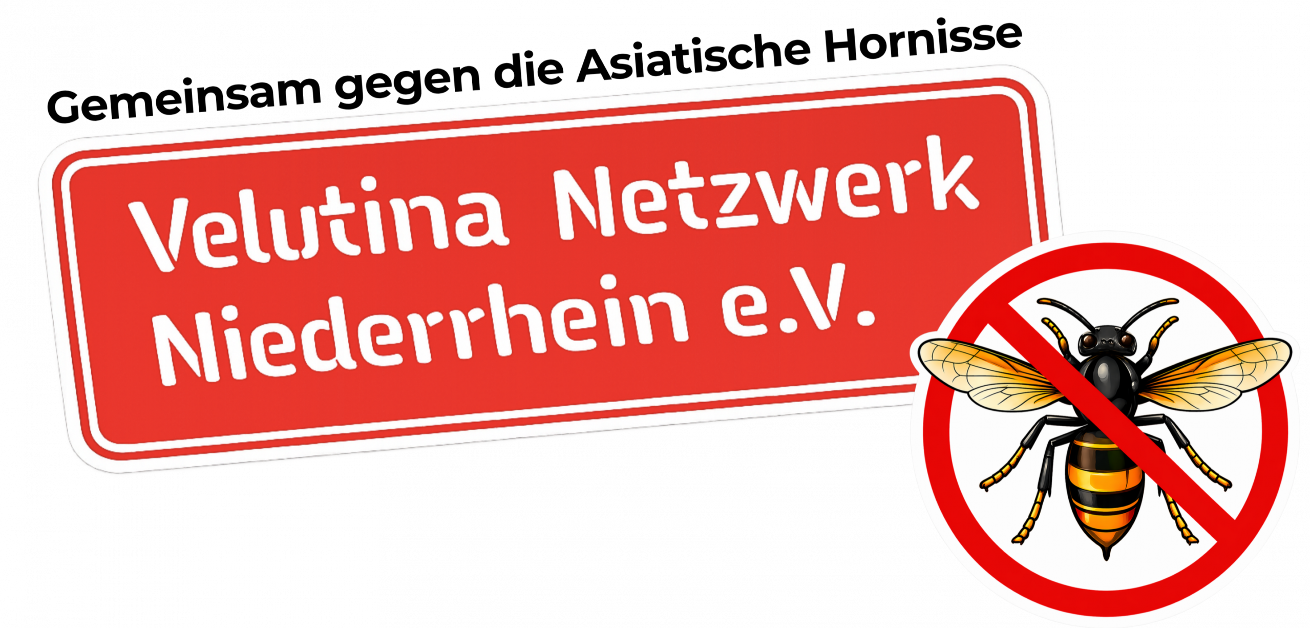 Velutina Netzwerk Niederrhein e.V.