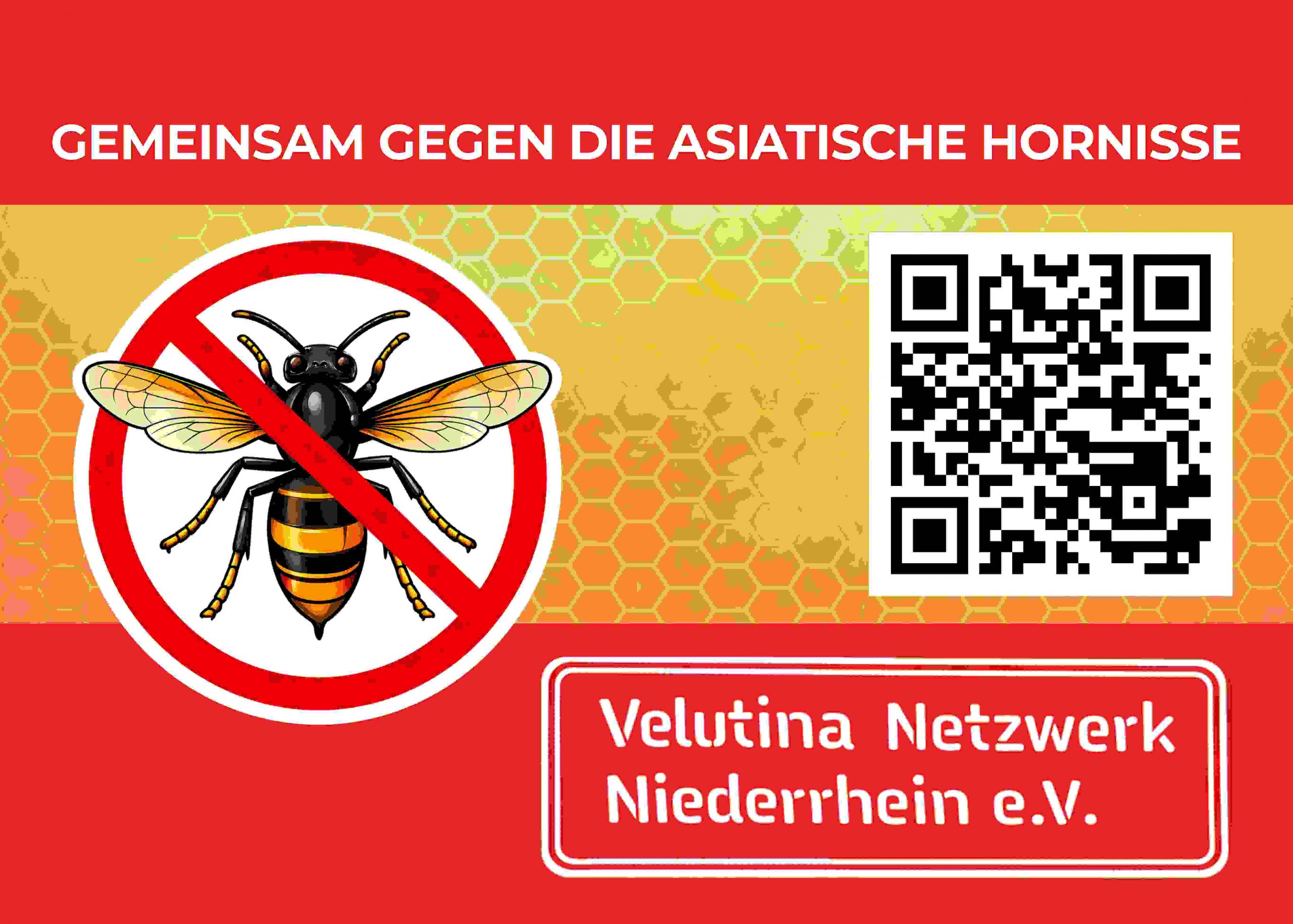 Rechteckiger Sticker Vespa velutina