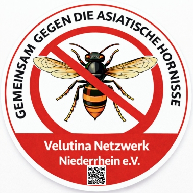 Runder Sticker Vespa velutina