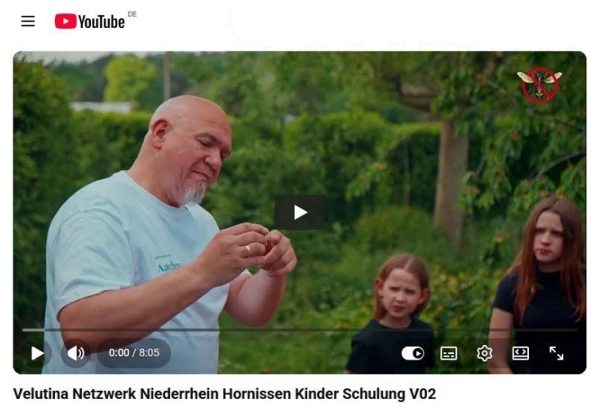 Hornissen-Kinder-Schulung
